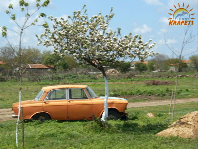 Moskvich at spring